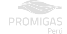 logo-promigas-peru